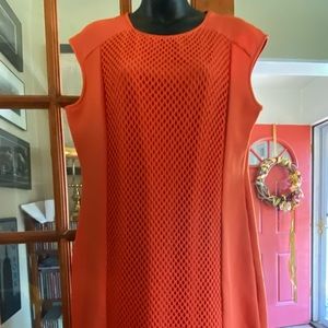 Tangerine 60s style knee length dress